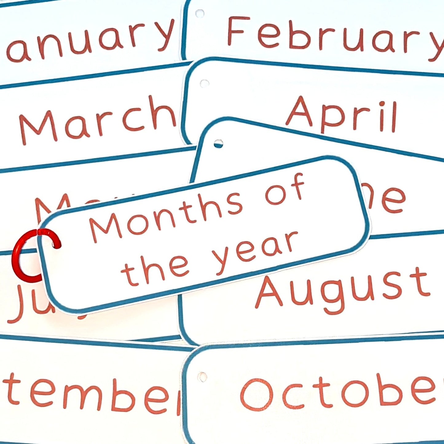 Months of the Year Flashcards