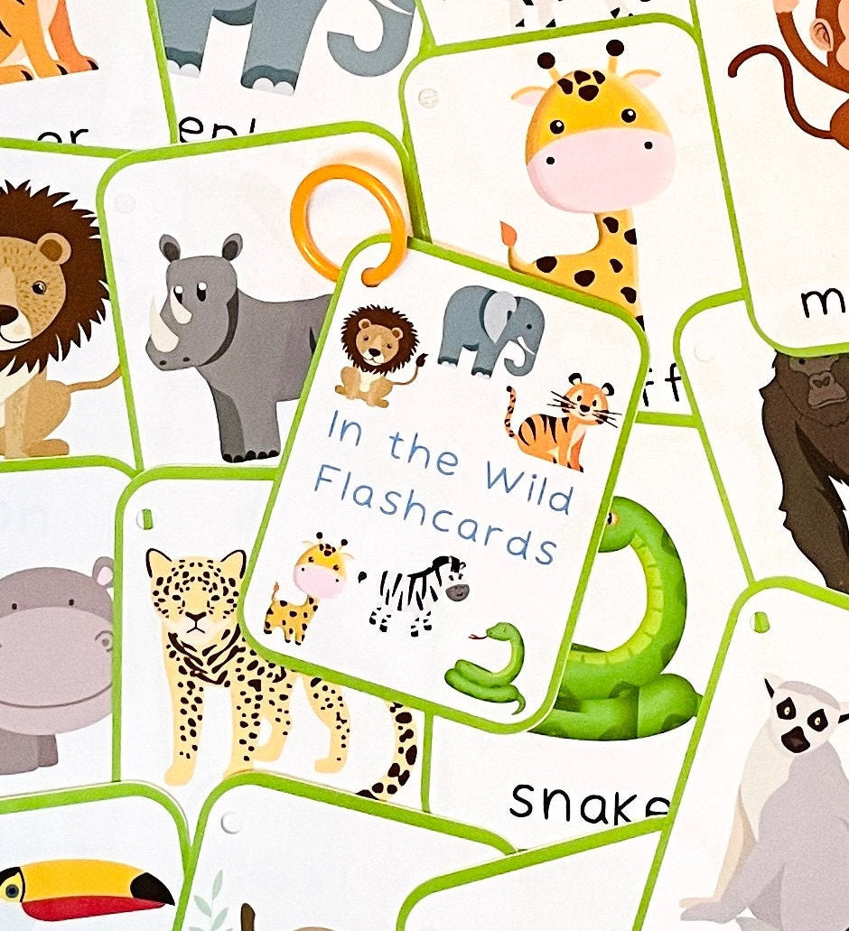 Jungle Animal Flashcards