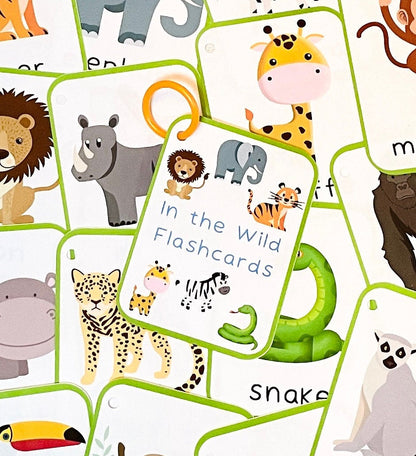 Jungle Animal Flashcards