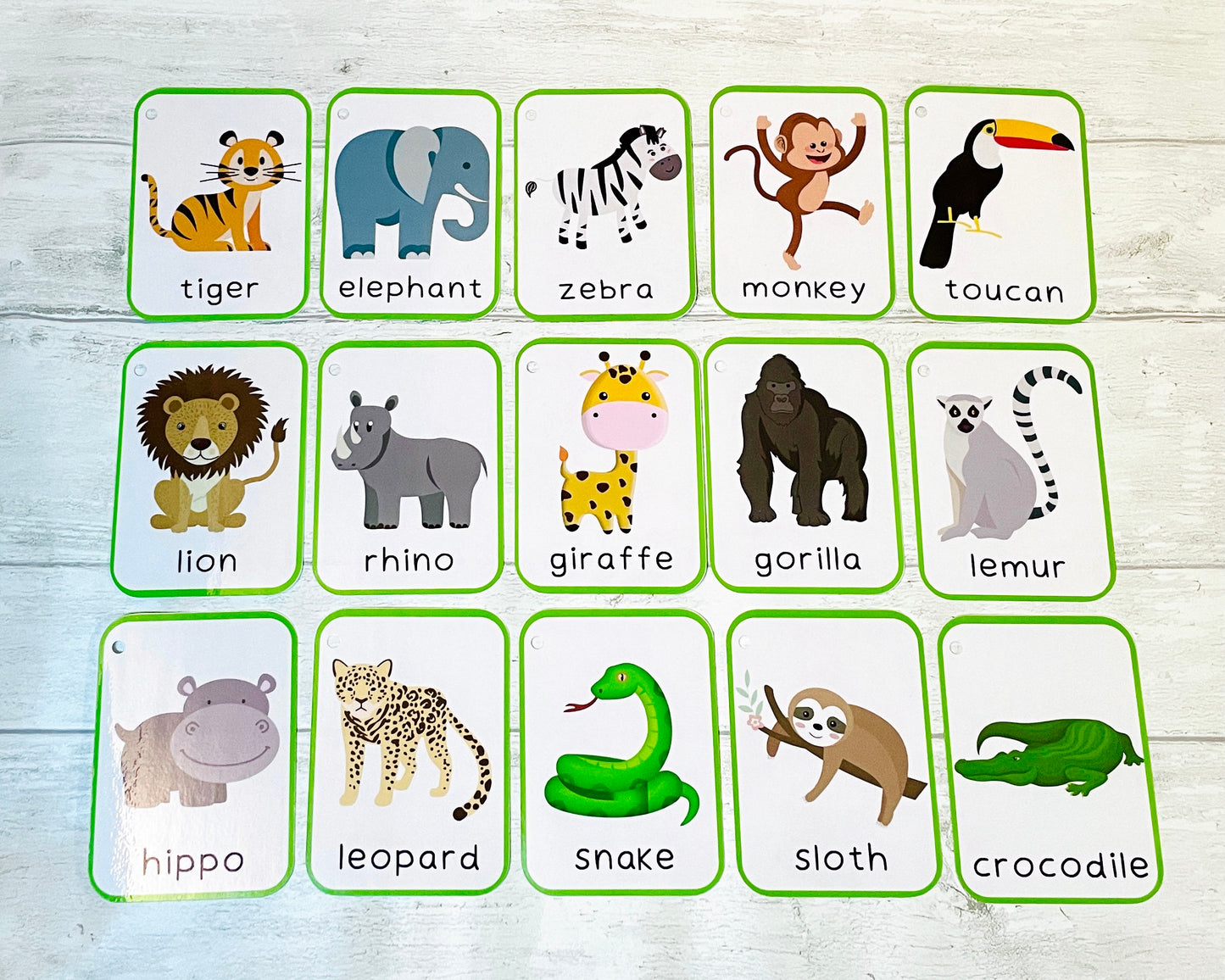 Jungle Animal Flashcards