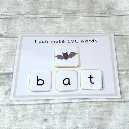 Phonics CVC Word Mat