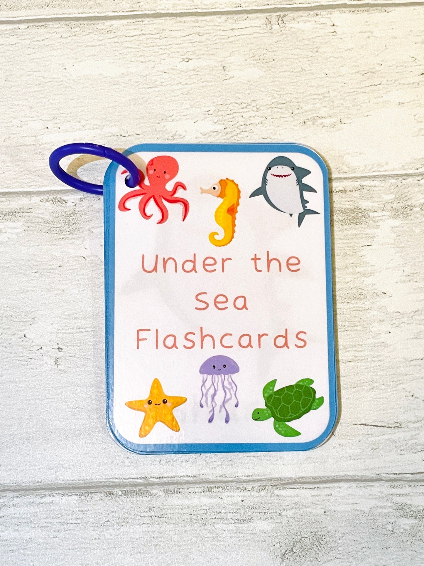 Sea Creatures Flashcards